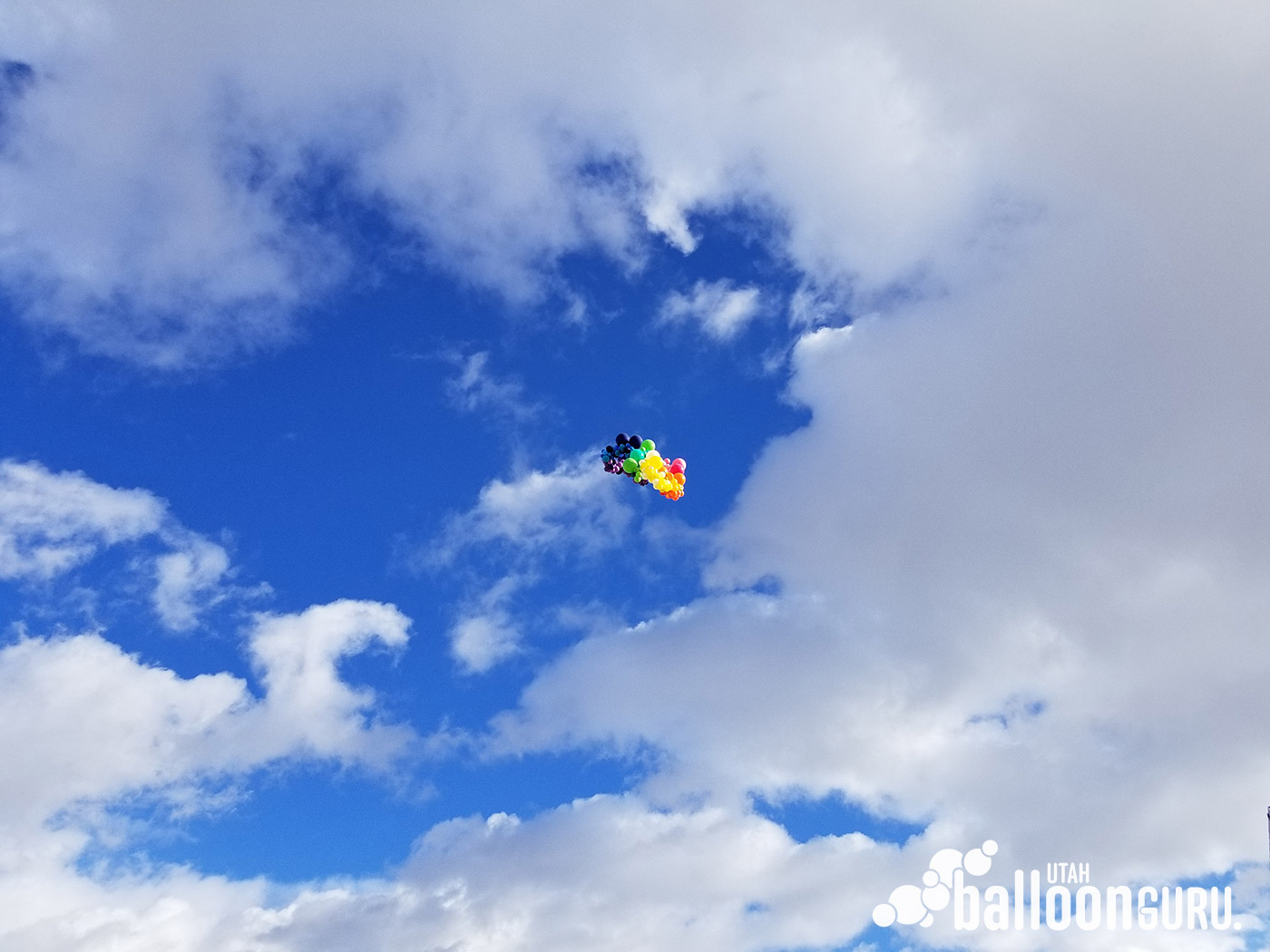 Floating helium balloon sculpture up in the air.